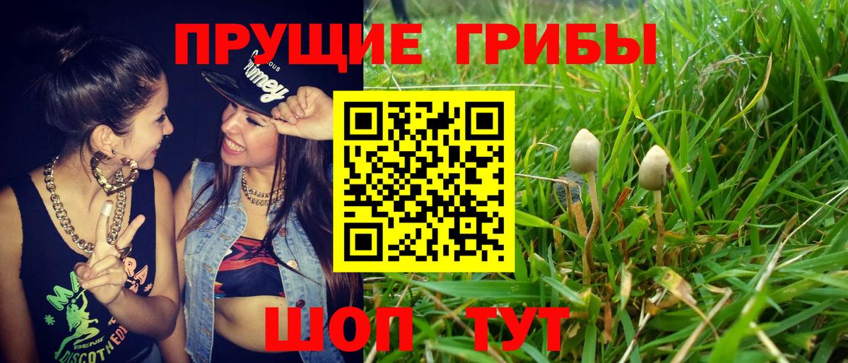 Галлюциногенные грибы Magic Shrooms Элиста
