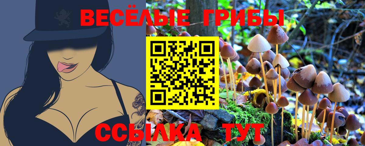 Элиста  Псилоцибиновые грибы Psilocybine cubensis  Вход с VPN  Псилоцибиновые грибы мицелий 